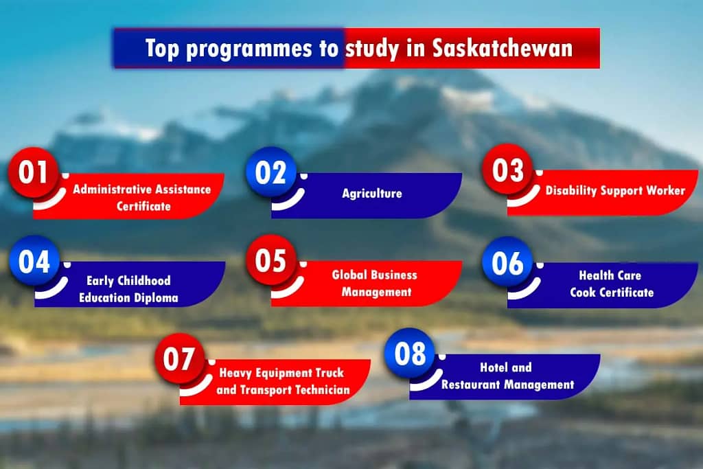 Infographic Image For"Top Programmes to Study in Saskatchewan"